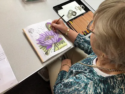 a54aea_1bcf4036f2e343e084e96132ce709654~mv2_d_4032_3024_s_4_2